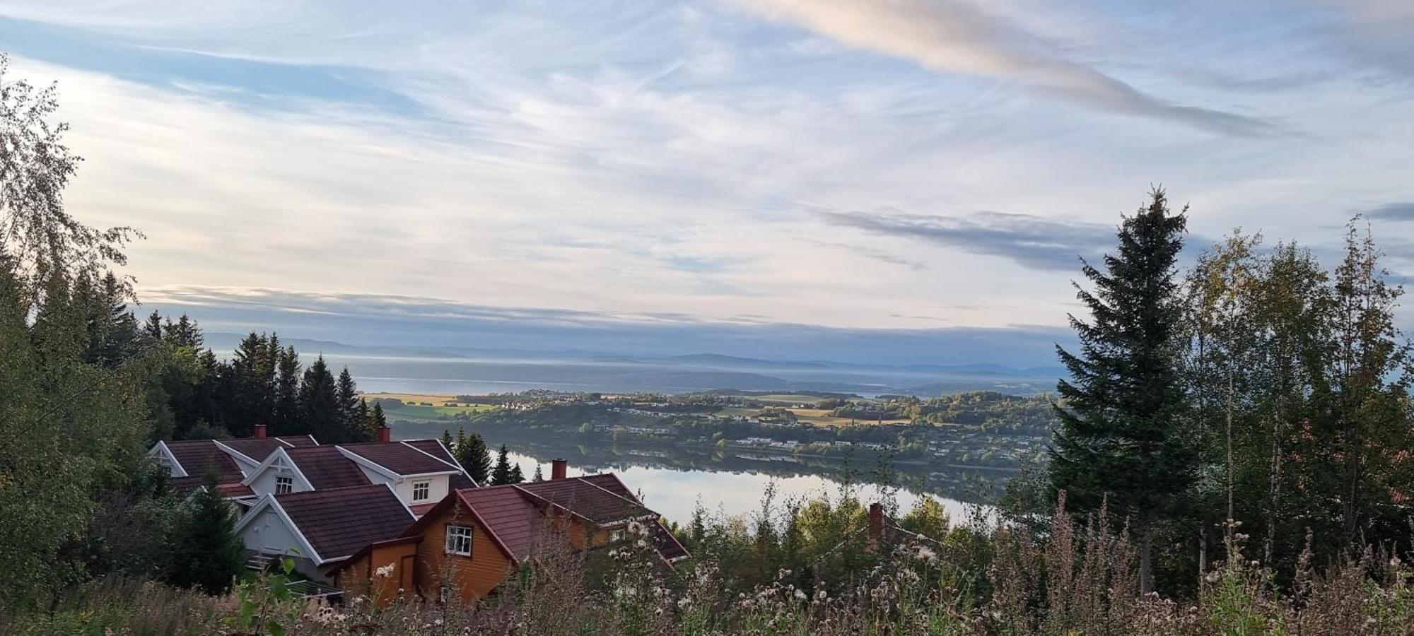 Blueberry Road Levanger